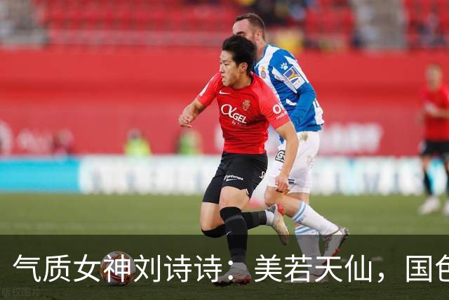 气质女神刘诗诗：美若天仙，国色天香。沉鱼落雁，闭月羞花！
