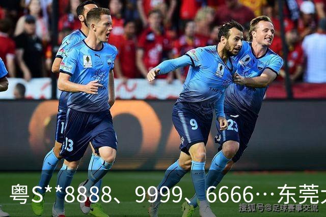 粤S**8888、9999、6666…东莞大批靓车牌准备上线！